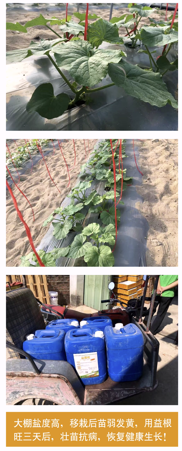 wechat_2025-10-22_145851_071.png